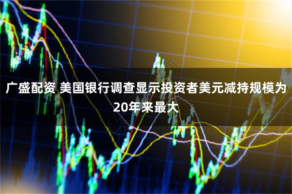 广盛配资 美国银行调查显示投资者美元减持规模为20年来最大
