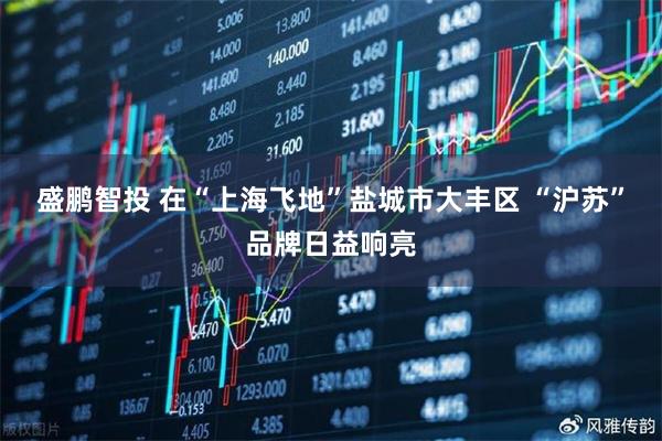 盛鹏智投 在“上海飞地”盐城市大丰区 “沪苏”品牌日益响亮