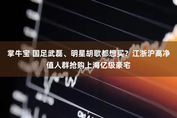 掌牛宝 国足武磊、明星胡歌都想买？江浙沪高净值人群抢购上海亿级豪宅