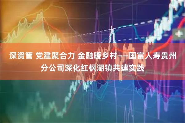 深资管 党建聚合力 金融暖乡村——国富人寿贵州分公司深化红枫湖镇共建实践
