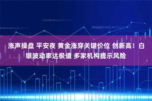 涨声操盘 平安夜 黄金涨穿关键价位 创新高！白银波动率达极值 多家机构提示风险