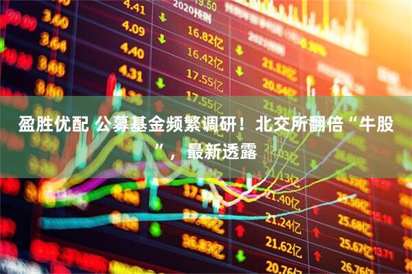 盈胜优配 公募基金频繁调研！北交所翻倍“牛股”，最新透露